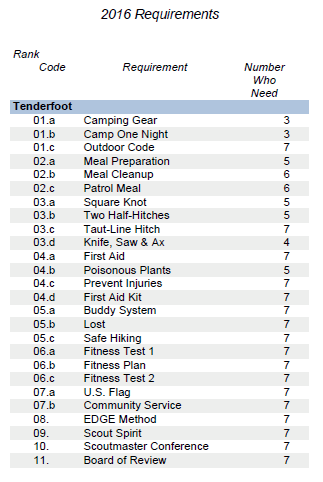 Tenderfoot Fitness Chart