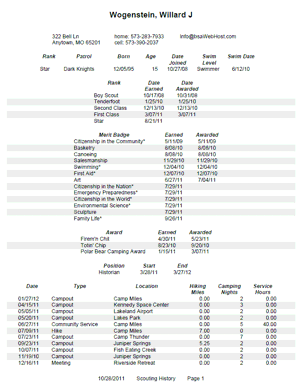 Individual Scouting History Report