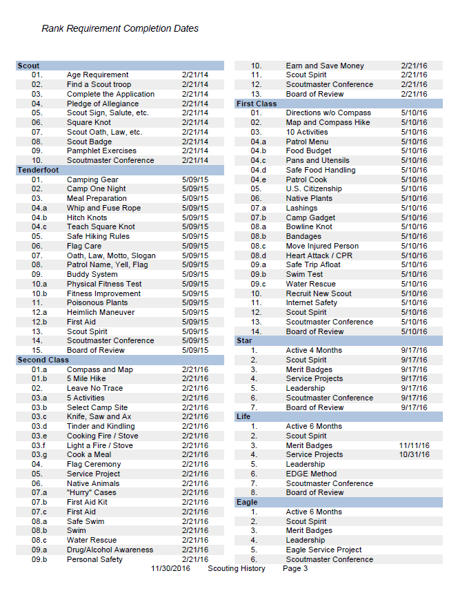 Boy Scout Rank Advancement Chart Excel