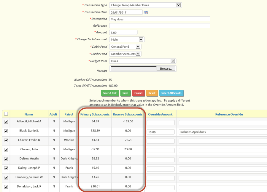 View member balances when entering group transactions