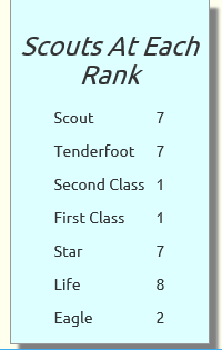 Widget to show number of scouts at each rank